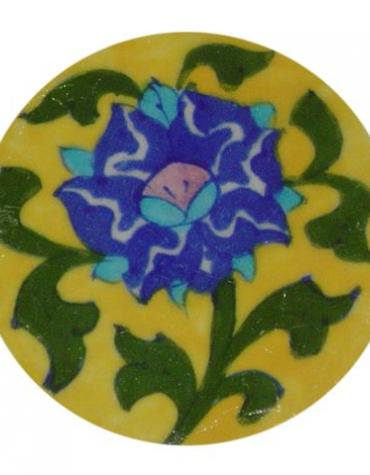 Neerja Coaster  NPC - 40