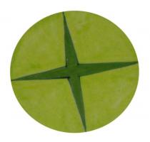 Neerja Coaster  NPC - 10